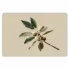 Tak - Groene Bladeren - Vruchten Placemat vinyl groot -zzsfeer1_Kitchenyeah-website