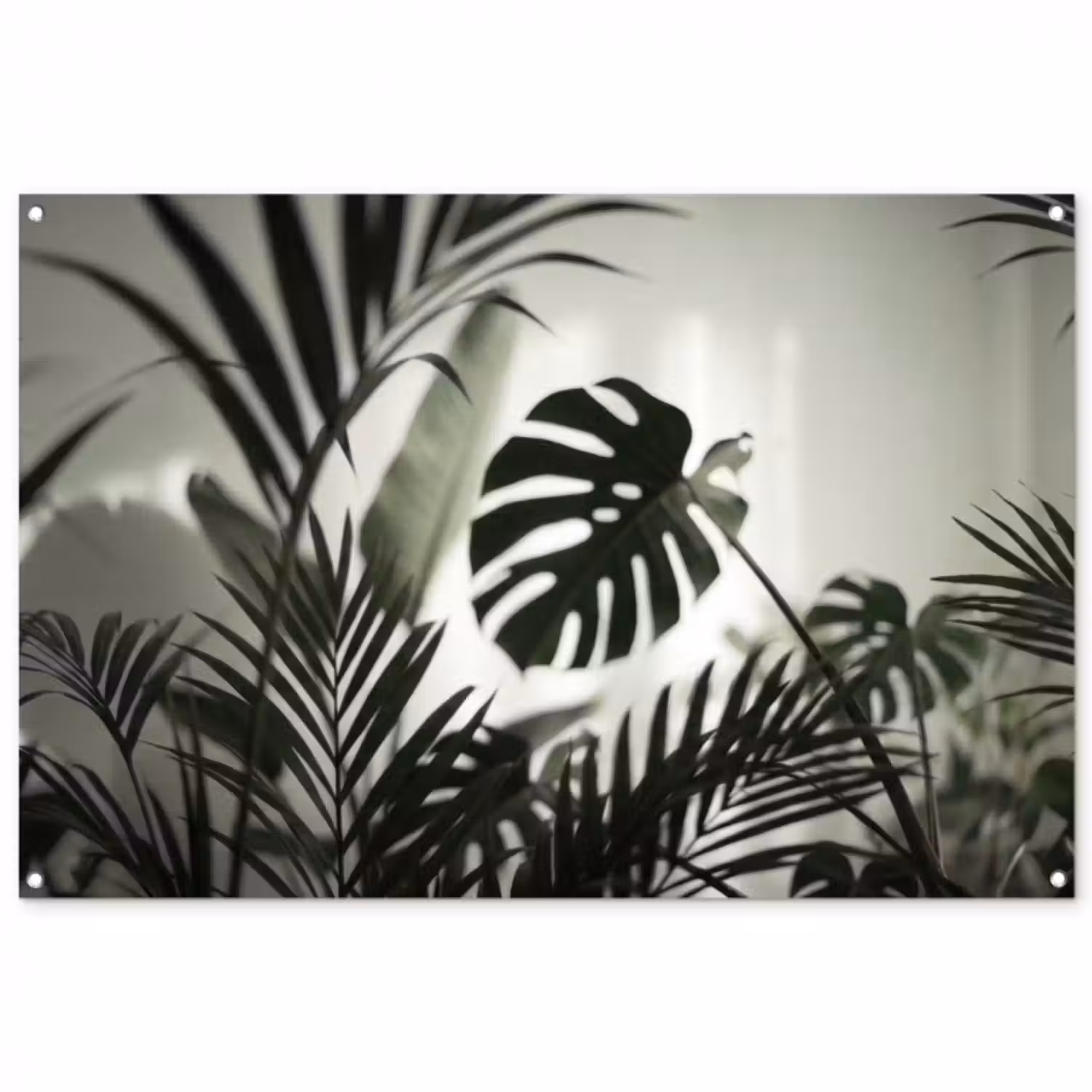 Gartenposter - Pflanzen – Blätter – Natur – Minimalistisch – Grün