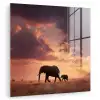 Olifanten - Grasland - Zonsondergang plexiglas 5mm klein -zzzproduct_nieuw