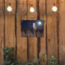 Kerkuil - Maan - Nacht tuinposter los doek klein -sfeer1