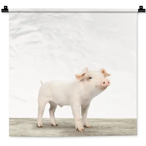 Varkentje - Big - Dieren - Roze - Jongens - Meisjes - Kinderen Wandkleed katoen klein -zz3d