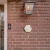 Lichtbeige met plant - Klassiek Naambord Hexagon klein -sfeer7-hexagon-XS