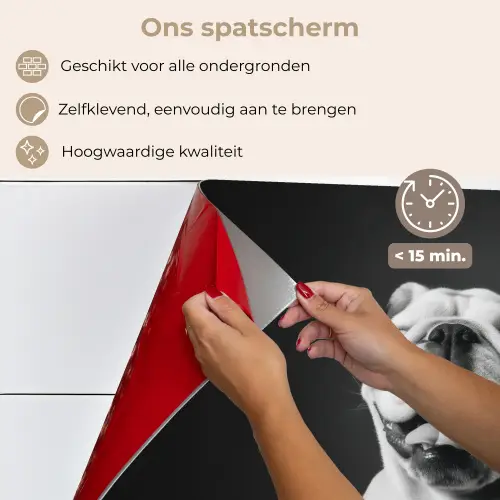 Buldog - Hond - Glas keuken achterwand spatscherm klein -spatscherm_NL