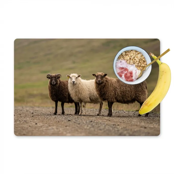 Schapen - Bruin - Wit - Grindpad Placemat vinyl groot -zzzproduct_Kitchenyeah-website