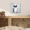 Kat - Zonnebril - Wijnglas - Langharig plexiglas 5mm klein -sfeer4