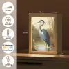 Reiger - Water - Planten Light Box met kabel (Tafellamp) klein -USP_NL