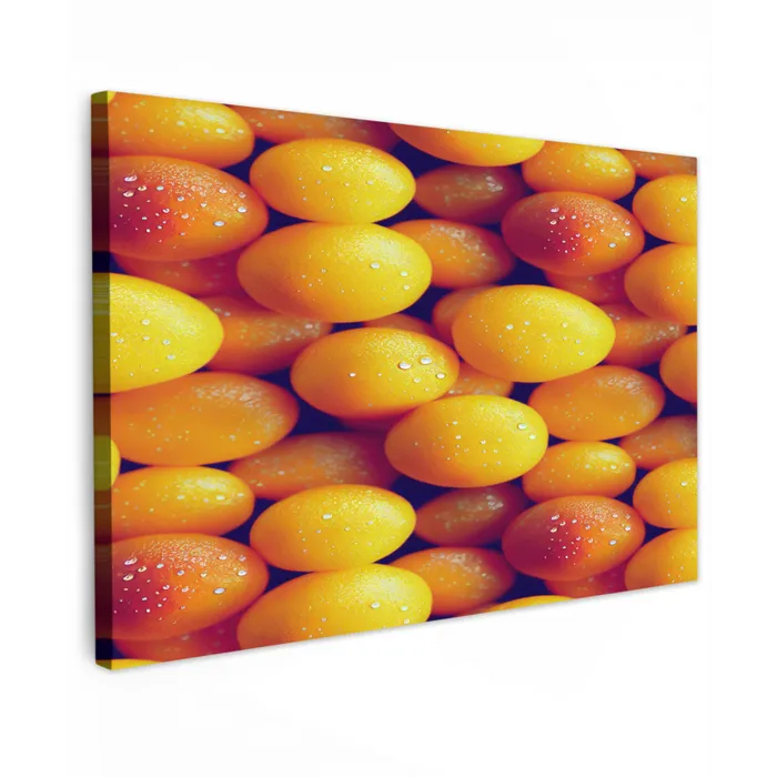 Vrucht - Waterdruppels - Oranje Tuinposter op houten frame 2 cm dik klein 845 -3d