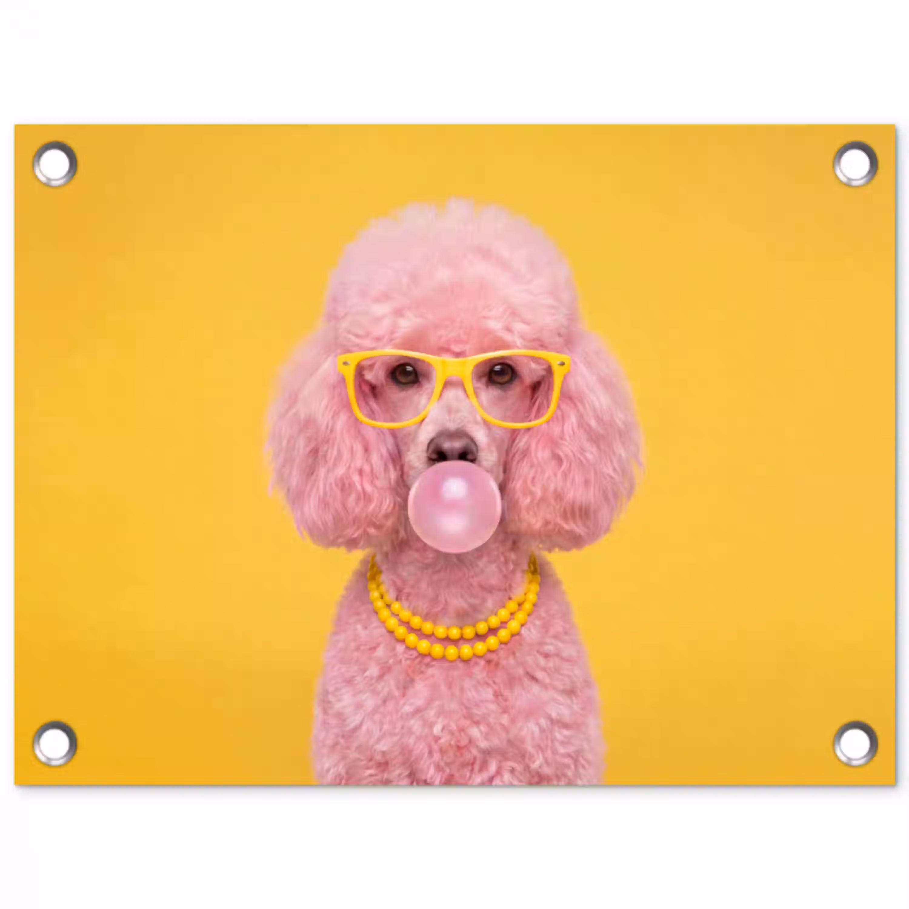 Hond - Kauwgum - Dieren - Modern - Roze tuinposter los doek klein -3d