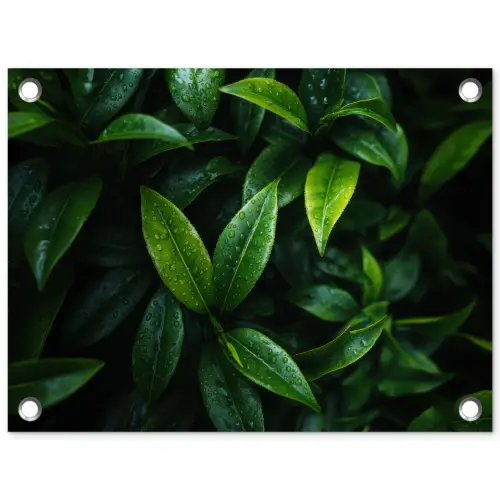 Bladeren - Regendruppels - Licht - Groen tuinposter los doek klein -3d