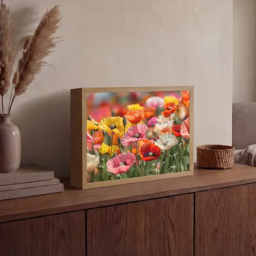 Bloemenveld - Klaprozen - Kleurrijk Light Box met batterij (Wandlamp) middel -sfeer2