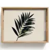 Palmblad - Subtiel - Groen - beige Dienblad Rechthoek middel -z3d_shopping