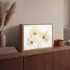 Zonlicht - Paardenbloemen - Natuur - Botanisch Light Box met batterij (Wandlamp) middel -sfeer2