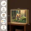 Eekhoorn - Nootje - Gras Light Box met batterij (Wandlamp) middel -USP_websiteoverzichtNL