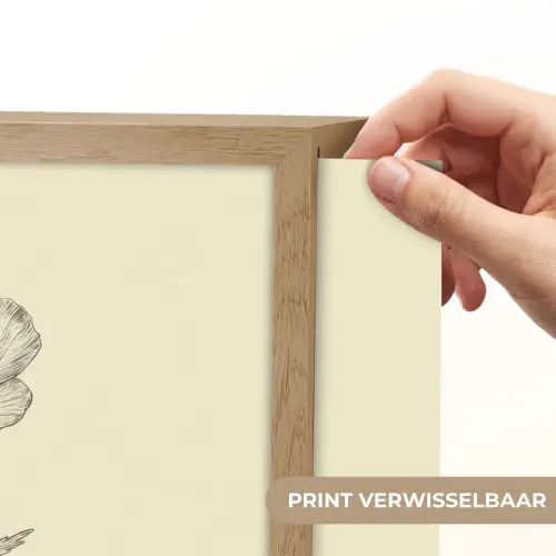 Klaproos - Illustratie - Zwart Light Box met batterij (Wandlamp) middel -USP_websiteprintNL