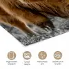 Schotse Hooglander - Dieren - Bruin - Koe - Zwart - Wit - Natuur poster papier klein -closeup_NL