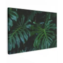 Monstera - Bladeren - Tropisch - Jungle Tuinposter op houten frame 2 cm dik klein -3d
