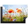 Bloemen - Klaproos - Lente - Natuur - Rood - Blauw Inductie beschermer vinyl 3mm klein -3d