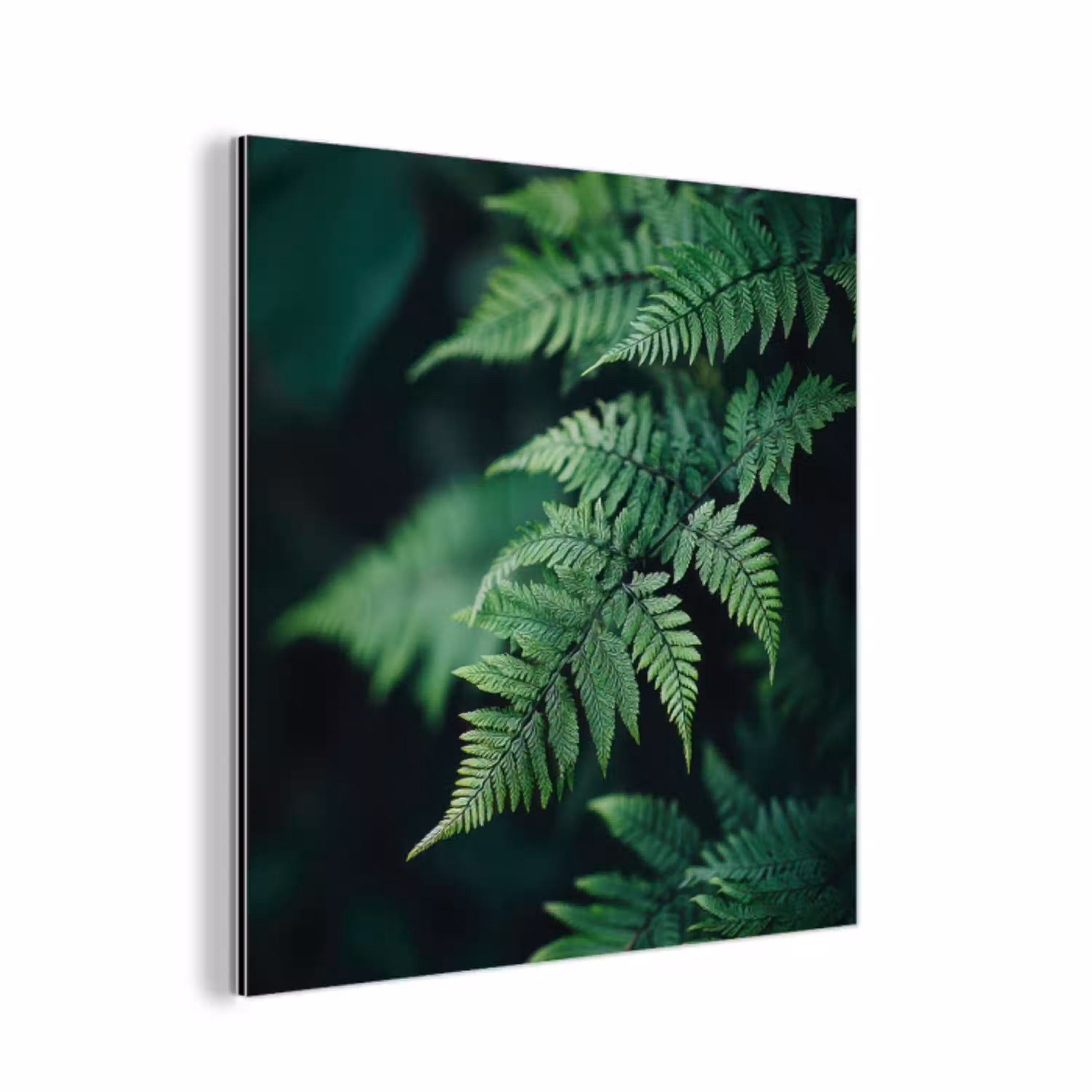 Varenblad - Groen - Structuur - Wazig aluminium wit klein -3d