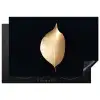 Bladeren - Goud - Zwart - Planten - Luxe Inductie beschermer vinyl 3mm klein -3d