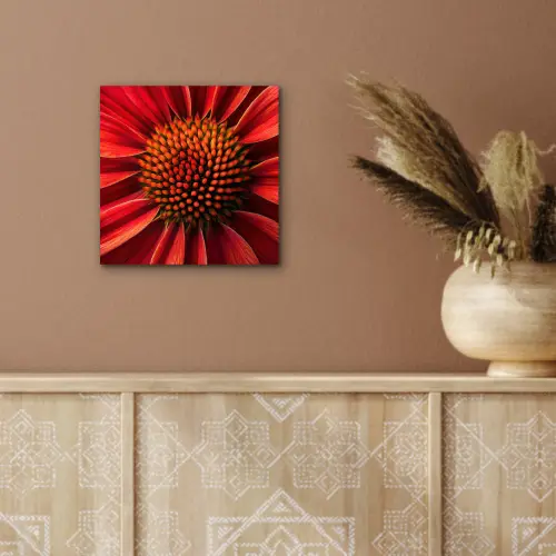 Close up - Bloem- Rood aluminium wit klein -sfeer4