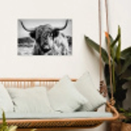 Stoere Hooglander tuinposter los doek klein -sfeer7