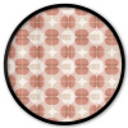 Retro - Klassiek - Roze Fotolijst rond zonder passe partout klein 856 -3d