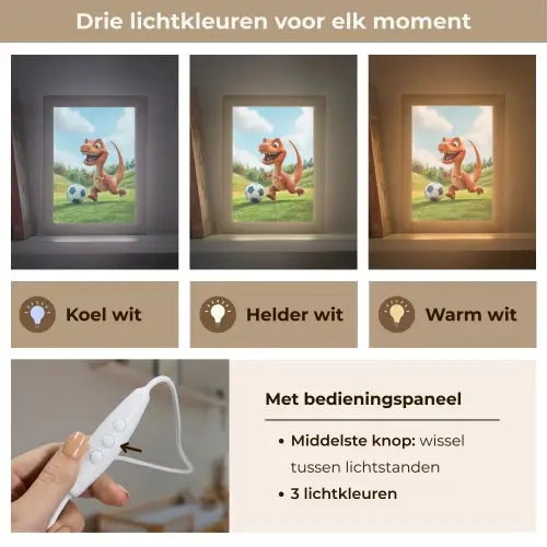 Dinosaurus - Oranje - Cartoon - Voetbal Light Box met kabel klein -USP_lichtkleurNL
