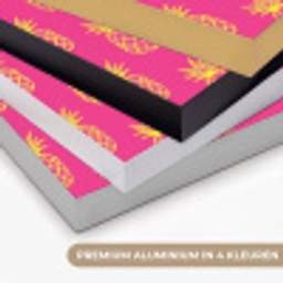 Ananas - Trendy - Roze Textielframe zwart klein 947 -USP_kleurenNL
