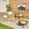 Nieuwsgierige koeien Tuinposter op houten frame 2 cm dik klein -sfeer2