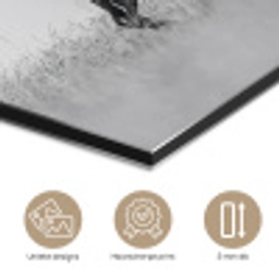 Paarden - Gras - Zwart - Wit aluminium wit klein -closeup_NL