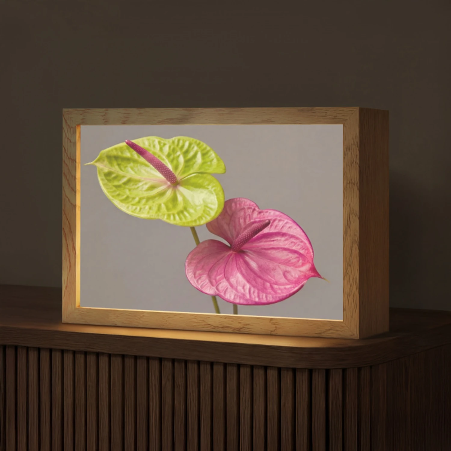 Planten - Anthurium - Groen - Roze Light Box met kabel (Tafellamp) klein -z3d_website