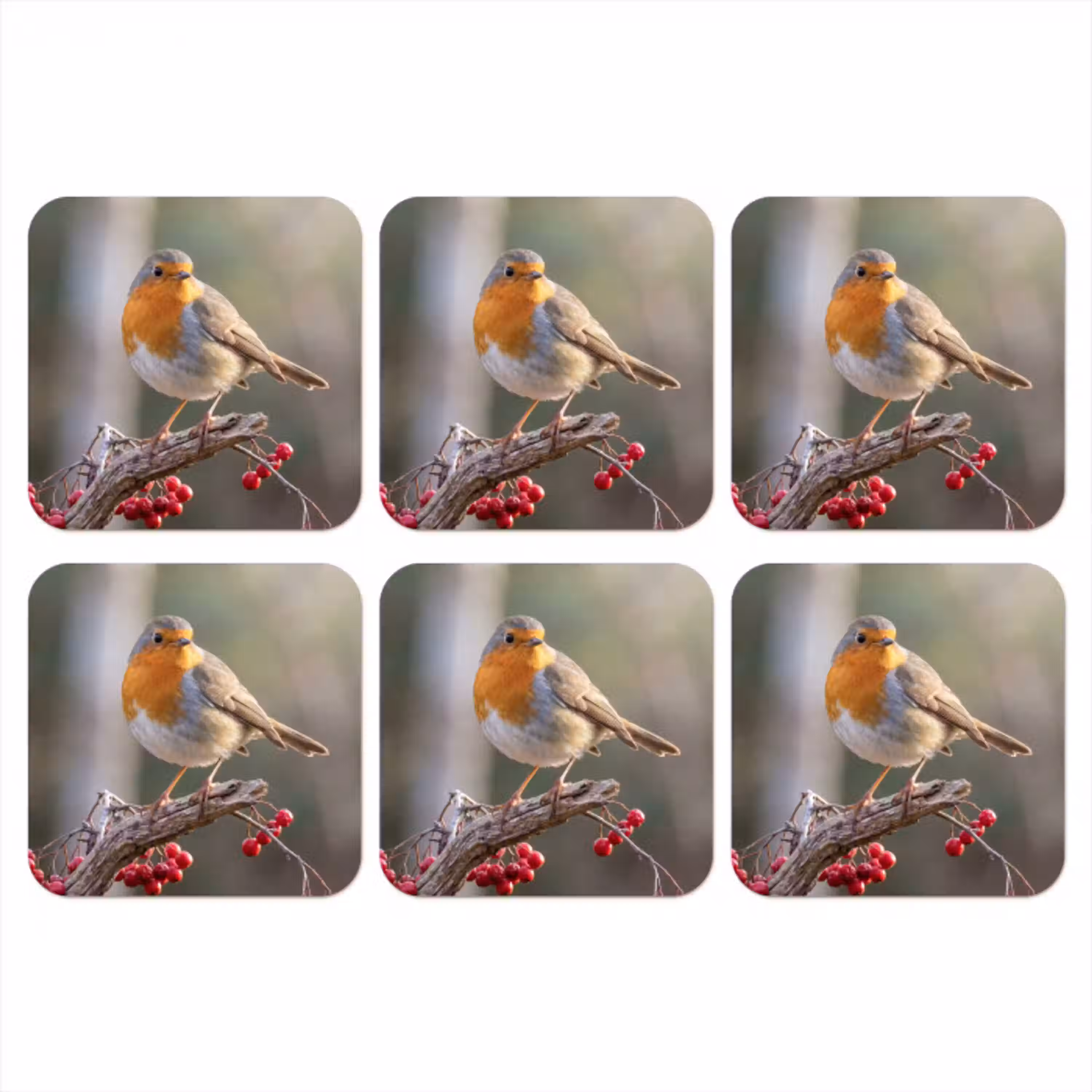 Roodborst - Tak - Bessen - Natuur onderzetter kurk middel -3d