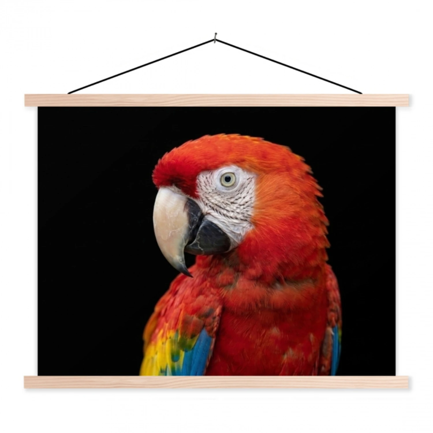 Ara - Portret - Rood textielposter latten blank klein -3d