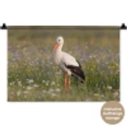 Ooienvaar - Bloemen - Weide - Kleurrijk Wandkleed katoen klein -t3d_DE