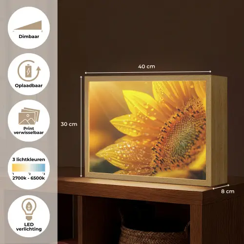 Zonnebloem - Dauwdruppels - Geel - Zonlicht Light Box met batterij (Wandlamp) middel -USP_websiteoverzichtNL