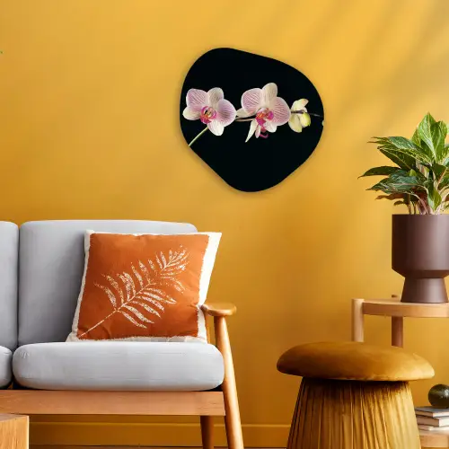 Orchidee - Bloemen - Zwart - Roze - Knoppen Wandcirkel Organisch Forex 3mm klein -sfeer4