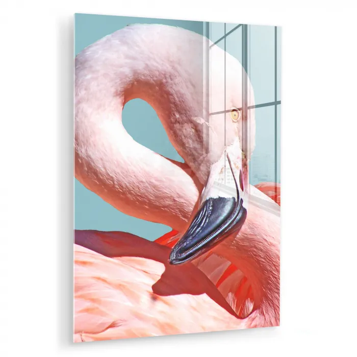 Close-up flamingo plexiglas 5mm klein -zzzproduct_nieuw