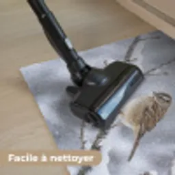 Vogel - Tak - Sneeuw - Winter Deurmat klein -reinigen_FR