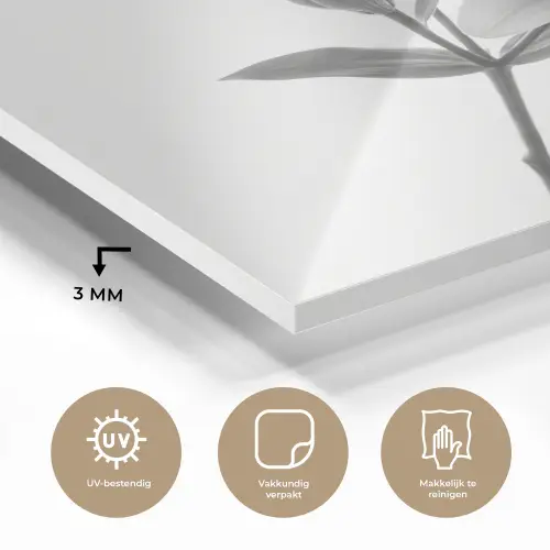 Lelies - Elegant - Zwart - Wit plexiglas 5mm klein -sfeer2