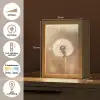 Paardenbloem - Beige - Natuur - Bloem Light Box met kabel (Tafellamp) klein -USP_NL