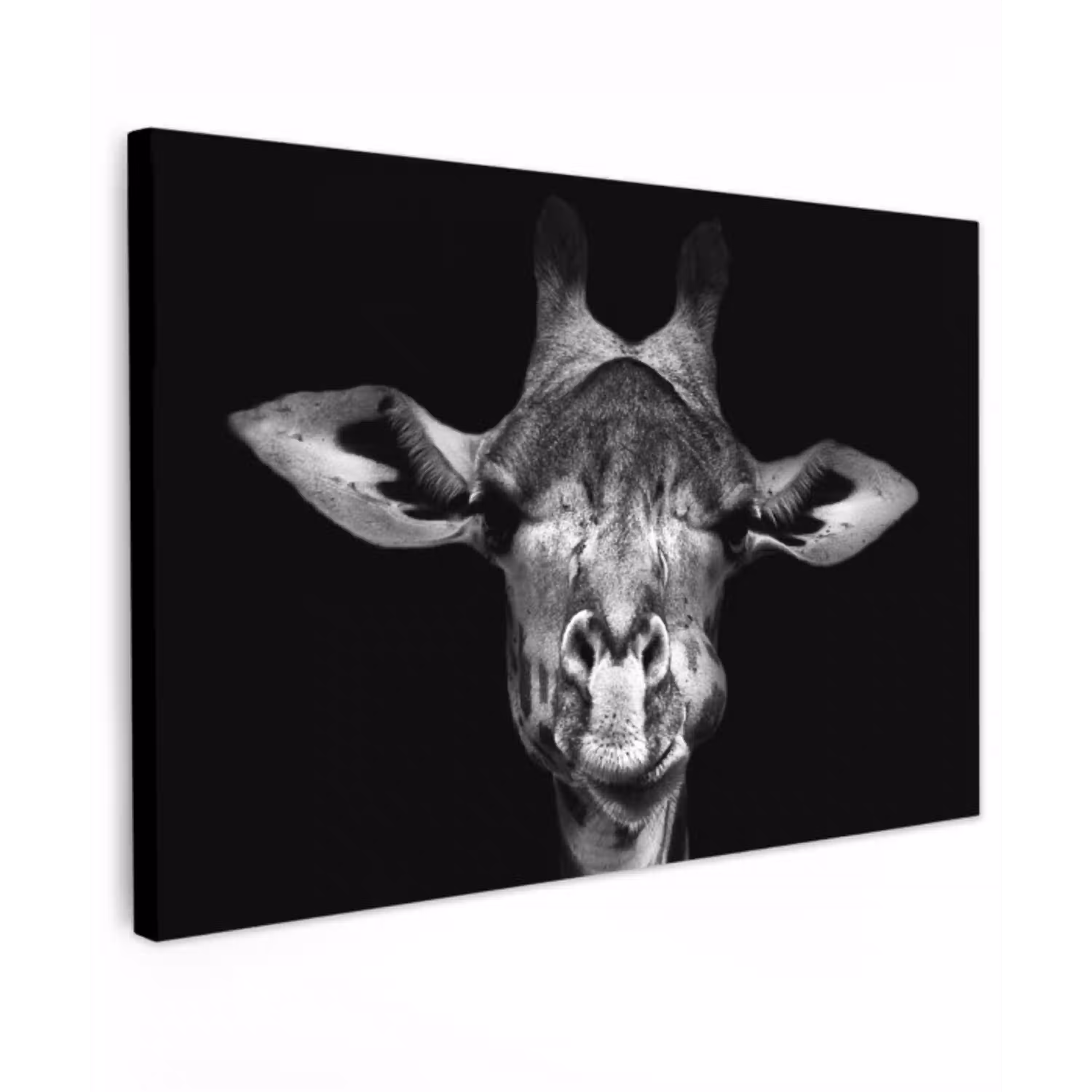 Giraffe - Portret - Dieren - Zwart - Wit canvas 2cm klein -z3d