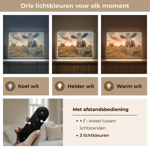 Koe - Weiland - Dieren portret - Natuur - Koeien Light Box met batterij (Wandlamp) middel -USP_lichtkleurNL