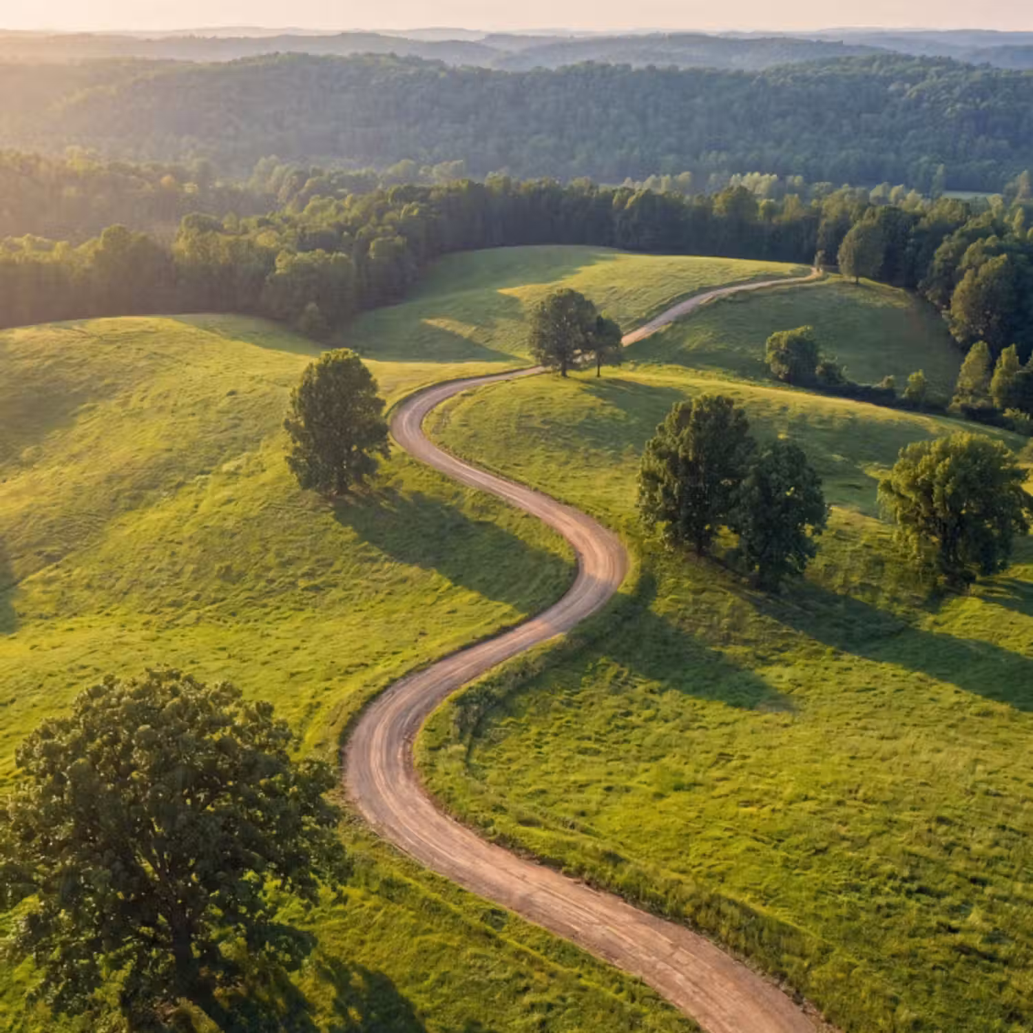 Behang - Weg - Weide - Natuur - Groen