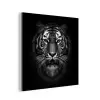 Tijger - Dieren - Zwart - Wit - Portret - Wild aluminium wit klein -3d