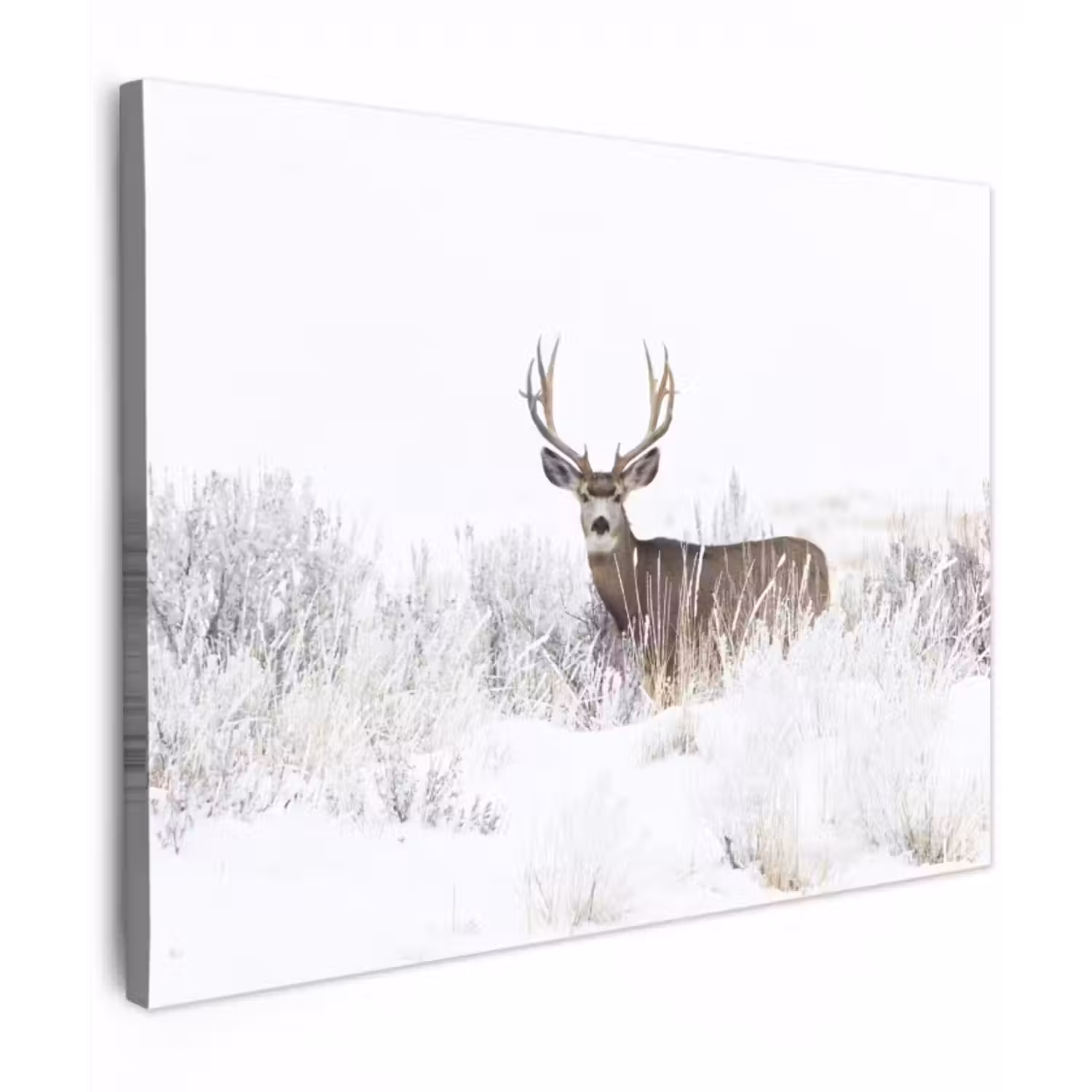 Canvas schilderij - Hert - Winter - Sneeuw - Dieren - Seizoenen - Wit