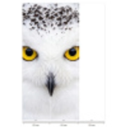 Sneeuwuil - Portret - Geel Behang Vlies klein -USP_banen
