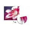 Roze - lelie - Dauwdruppels fotobehang vinyl groot -3d