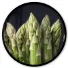 Asperges - Groen - Zwart Fotolijst rond zonder passe partout klein -3d