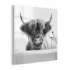 Schotse Hooglander - Koe - Bad - Zwart wit plexiglas 5mm klein -z3d