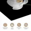 Orchidee - Bloemen - Zwart - Wit - Stilleven poster papier klein -closeup_NL